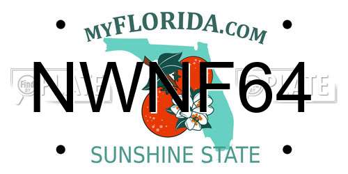 NWNF64 Florida License Plate