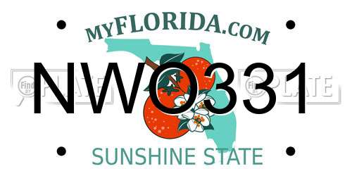 NWO331 Florida License Plate