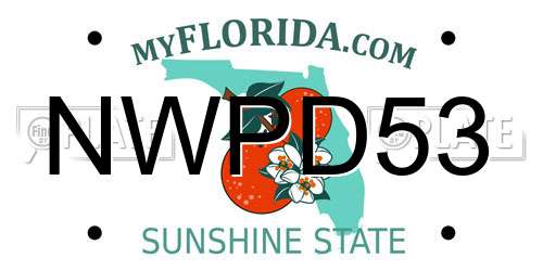 NWPD53 Florida License Plate