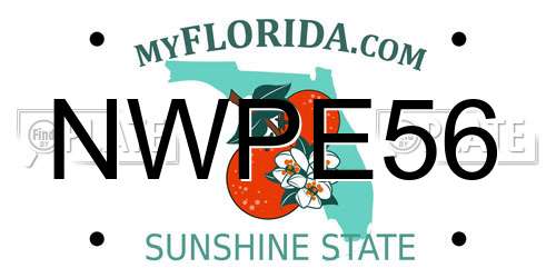 NWPE56 Florida License Plate