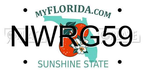 NWRG59 Florida License Plate