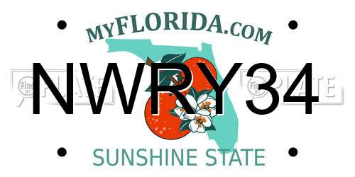 NWRY34 Florida License Plate