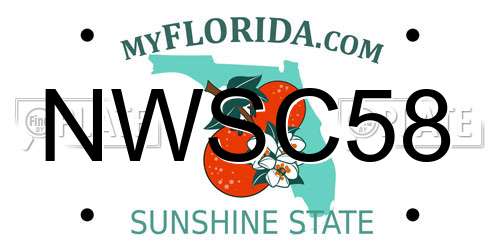 NWSC58 Florida License Plate