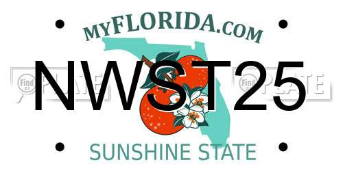 NWST25 Florida License Plate