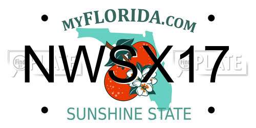NWSX17 Florida License Plate
