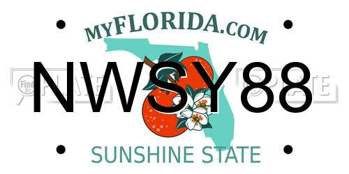 NWSY88 Florida License Plate