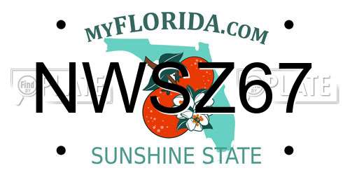 NWSZ67 Florida License Plate