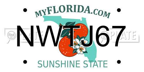 NWTJ67 Florida License Plate