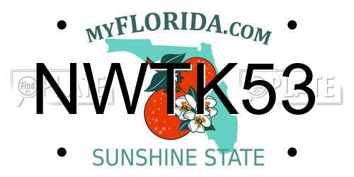 NWTK53 Florida License Plate
