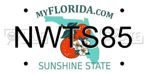 NWTS85 Florida License Plate