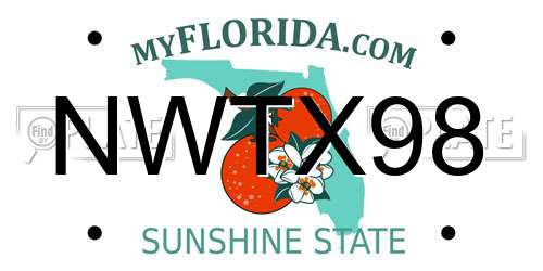 NWTX98 Florida License Plate