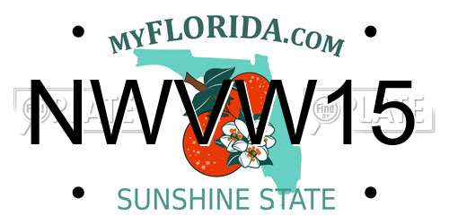 NWVW15 Florida License Plate