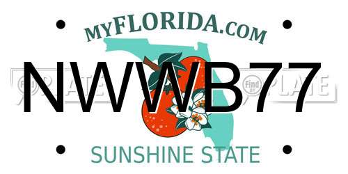 NWWB77 Florida License Plate