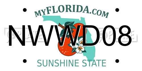 NWWD08 Florida License Plate