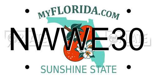 NWWE30 Florida License Plate