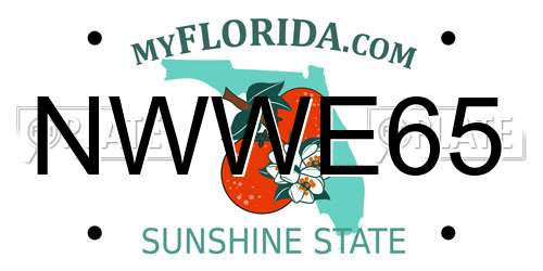 NWWE65 Florida License Plate