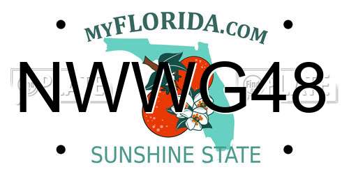 NWWG48 Florida License Plate