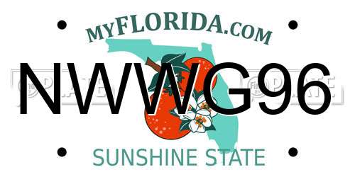 NWWG96 Florida License Plate