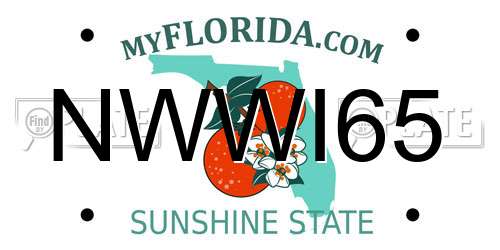 NWWI65 Florida License Plate
