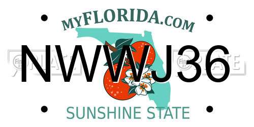 NWWJ36 Florida License Plate