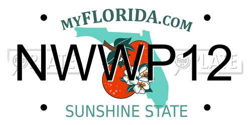 NWWP12 Florida License Plate