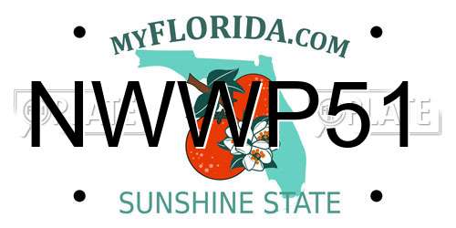 NWWP51 Florida License Plate