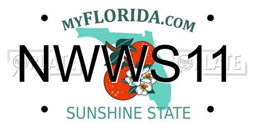 NWWS11 Florida License Plate