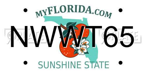 NWWT65 Florida License Plate