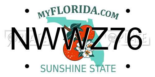 NWWZ76 Florida License Plate
