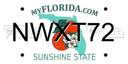 NWXT72 Florida License Plate