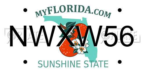 NWXW56 Florida License Plate