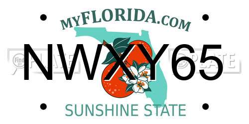 NWXY65 Florida License Plate