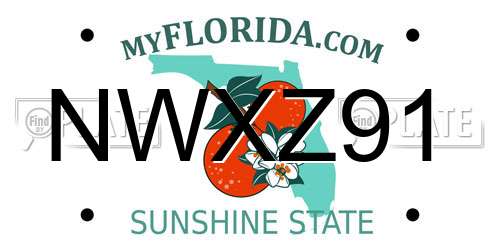 NWXZ91 Florida License Plate