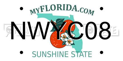 NWYC08 Florida License Plate