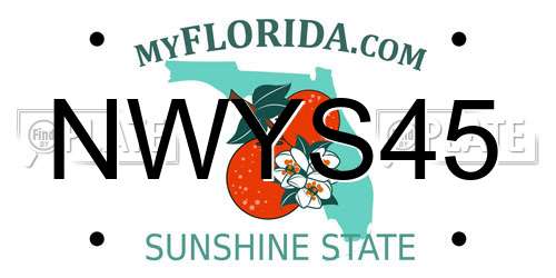 NWYS45 Florida License Plate