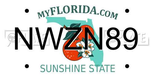 NWZN89 Florida License Plate