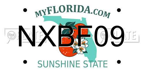NXBF09 Florida License Plate