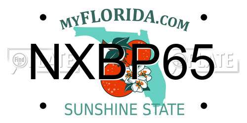 NXBP65 Florida License Plate