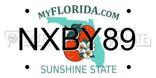 NXBY89 Florida License Plate