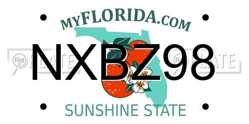 NXBZ98 Florida License Plate