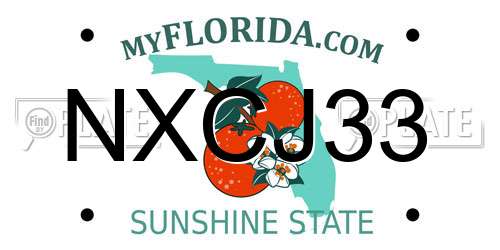 NXCJ33 Florida License Plate