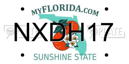 NXDH17 Florida License Plate