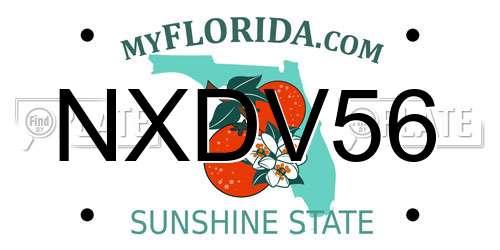 NXDV56 Florida License Plate
