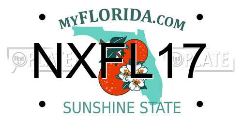 NXFL17 Florida License Plate