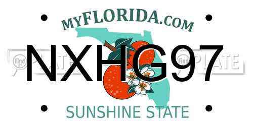 NXHG97 Florida License Plate