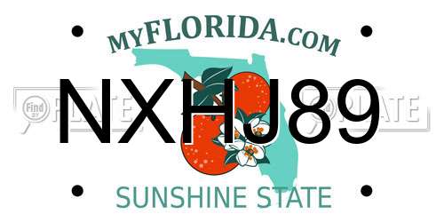 NXHJ89 Florida License Plate