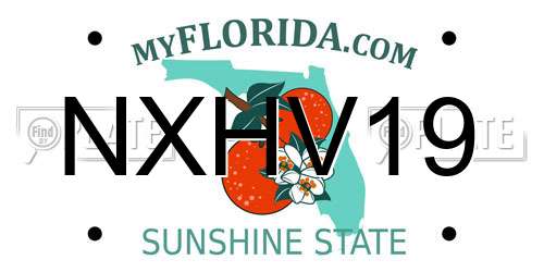 NXHV19 Florida License Plate