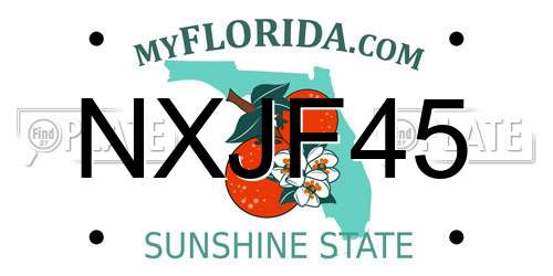 NXJF45 Florida License Plate