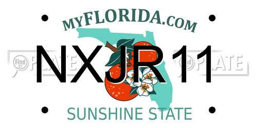 NXJR11 Florida License Plate
