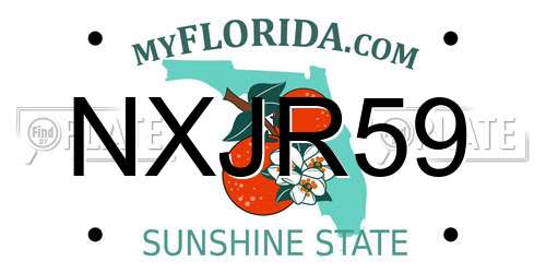 NXJR59 Florida License Plate